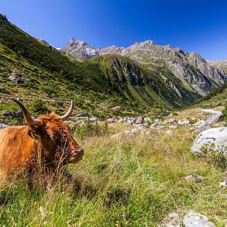 In Pitztal Near Glacier Oberlehn