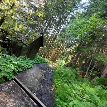 In Pitztal Near Glacier