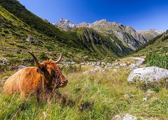 In Pitztal Near Glacier Oberlehn