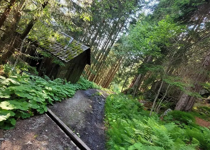 In Pitztal Near Glacier